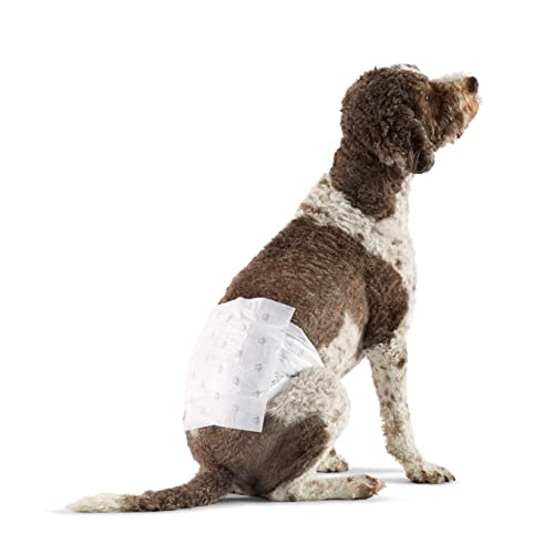 Amazon Basics Hundewindel für Rüden, Einwegwindeln, Größe L, Weiß, 50 Stück Amazon Basics Hundewindel für Rüden, Einwegwindeln, Größe L, Weiß, 50 Stück von Amazon Basics