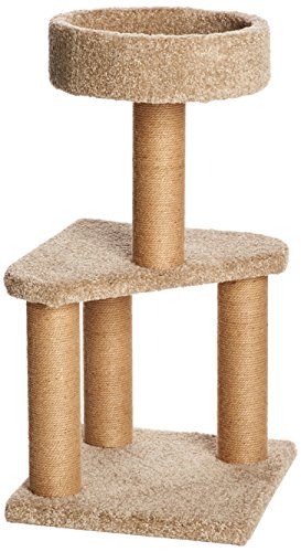 Amazon Basics Kratzbaum mit Kratzstämmen für den Innenbereich, mittelgroß, 40 x 40 x 80 cm (L x B x H), Beige Amazon Basics Kratzbaum mit Kratzstämmen für den Innenbereich, mittelgroß, 40 x 40 x 80 cm (L x B x H), Beige von Amazon Basics