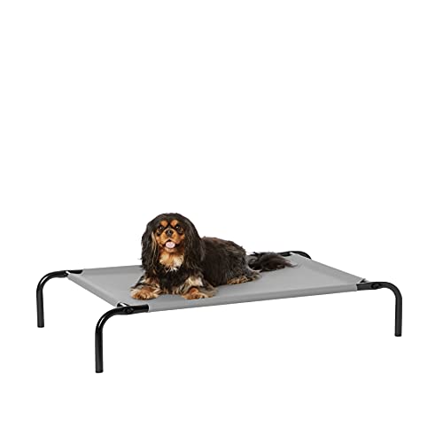 Amazon Basics Kühlendes erhöhtes Haustierbett per Hund, Größe S, L 90 x B 55 x H 19 cm, Grau Amazon Basics Kühlendes erhöhtes Haustierbett per Hund, Größe S, L 90 x B 55 x H 19 cm, Grau von Amazon Basics