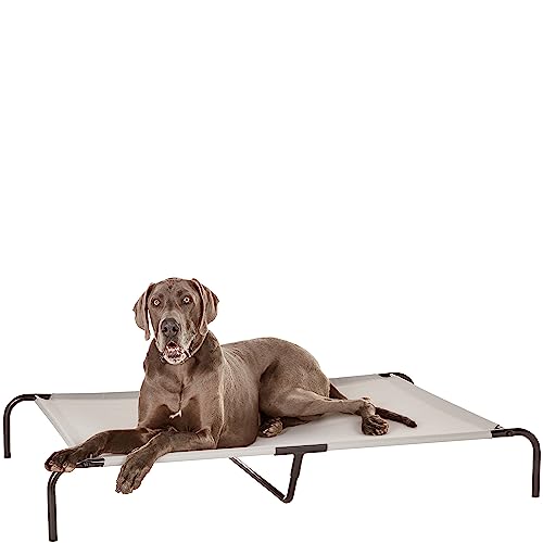Amazon Basics Erhöhtes Hundebett und Haustierbett - Größe L, mit Kühlender Wirkung, zur Nutzung im Innen- und Außenbereich, 153 x 94 x 23 cm, Grau von Amazon Basics