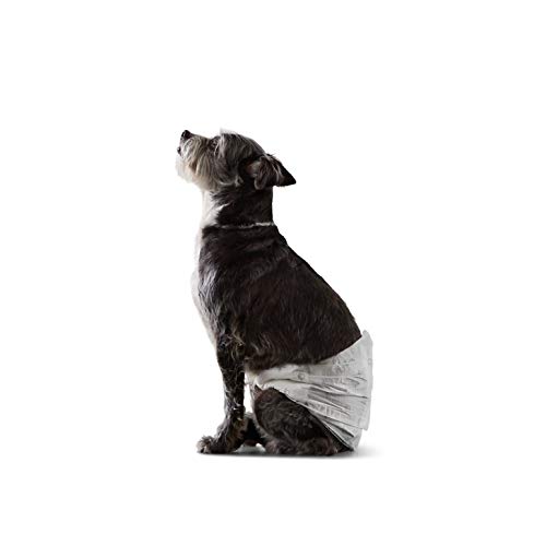Amazon Basics Einweg-Hundewindeln für Rüden, Klein (30er-Pack), Weiß von Amazon Basics