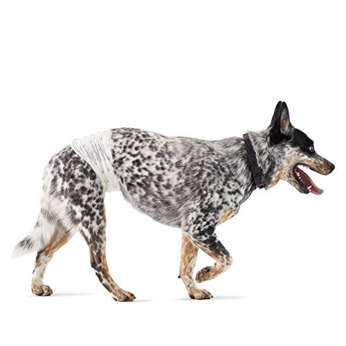 Amazon Basics Hundewindel für Rüden, Einwegwindeln, Größe M, Weiß, 30 Stück Amazon Basics Hundewindel für Rüden, Einwegwindeln, Größe M, Weiß, 30 Stück von Amazon Basics