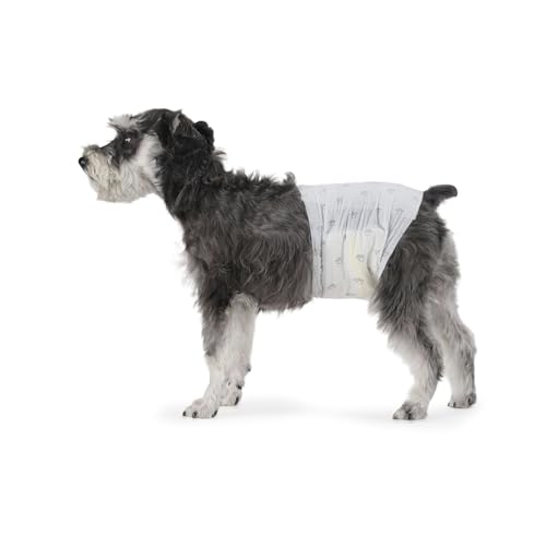 Amazon Basics Hundewindel für Rüden, Einwegwindeln, Größe M, Weiß, 30 Stück von Amazon Basics