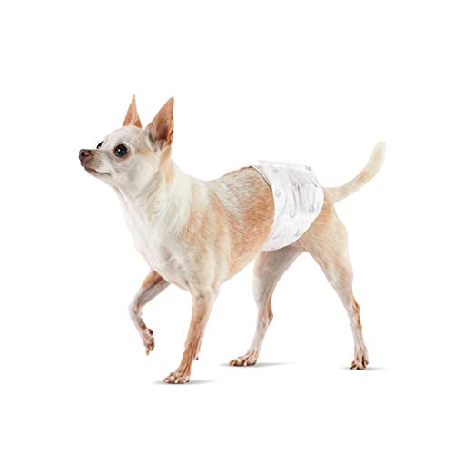 Amazon Basics Hundewindel für Rüden, Einwegwindeln, Größe XS, Weiß, 30 Stück Amazon Basics Hundewindel für Rüden, Einwegwindeln, Größe XS, Weiß, 30 Stück von Amazon Basics