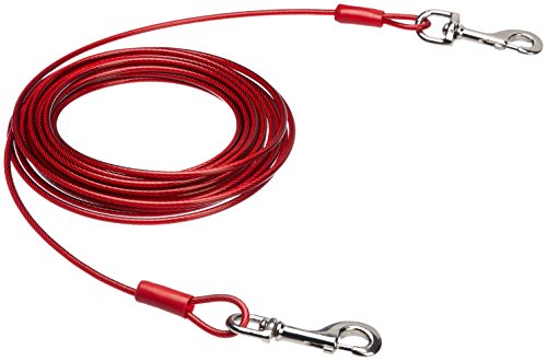 Amazon Basics - Cable para atar perros, hasta 56 kg, 9,1 m, Rot von Amazon Basics