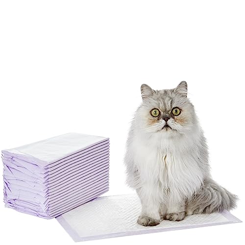 Amazon Basics Katzenstreu-Pads, 20er-Pack, duftfrei, Lila und weiß Amazon Basics Katzenstreu-Pads, 20er-Pack, duftfrei, Lila und weiß von Amazon Basics