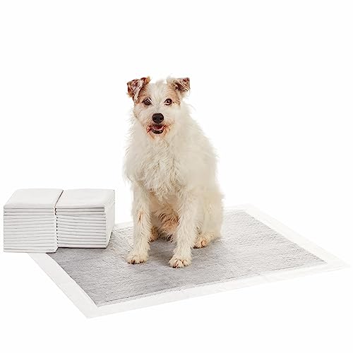 Amazon Basics Trainingspads für Hunde und Welpen mit Kohlenstoff zur Geruchskontrolle, auslaufsicheres Design mit schnell trocknender Oberfläche, Größe XL, 30 Stück' Grau Amazon Basics Trainingspads für Hunde und Welpen mit Kohlenstoff zur Geruchskontrolle, auslaufsicheres Design mit schnell trocknender Oberfläche, Größe XL, 30 Stück' Grau von Amazon Basics