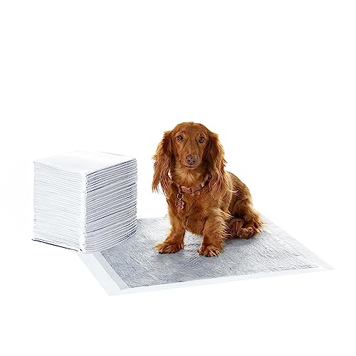 Amazon Basics Trainingspads für Hunde und Welpen mit Kohlenstoff zur Geruchskontrolle, auslaufsicheres Design mit schnell trocknender Oberfläche, Normal (40 Stück), Grau Amazon Basics Trainingspads für Hunde und Welpen mit Kohlenstoff zur Geruchskontrolle, auslaufsicheres Design mit schnell trocknender Oberfläche, Normal (40 Stück), Grau von Amazon Basics