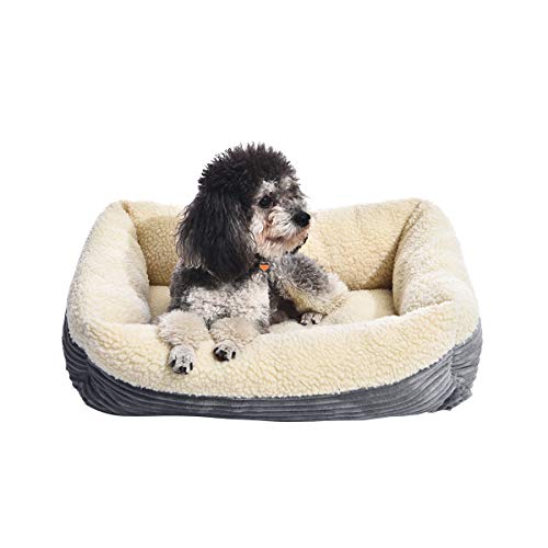 Amazon Basics Wärmende Hund Haustierbetten, L 61 x B 51 x H 18 cm, Grau, Crème von Amazon Basics