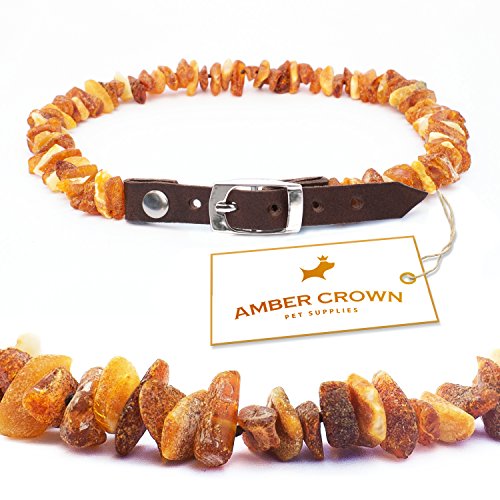 Bernsteinkette für Hunde und Katzen mit Lederschließe, gegen Zecken und Flöhe von Amber Crown