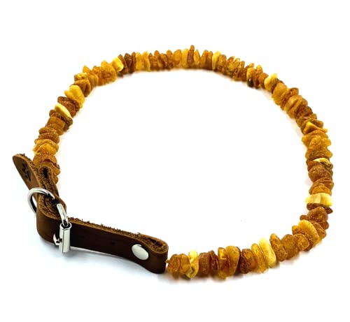 Bernstein-Halskette für Hunde, Bernstein-Halsbänder für Hunde, natürlicher baltischer Bernstein, rohe Perlen (35–40 cm) von Amber Jewelry Shop
