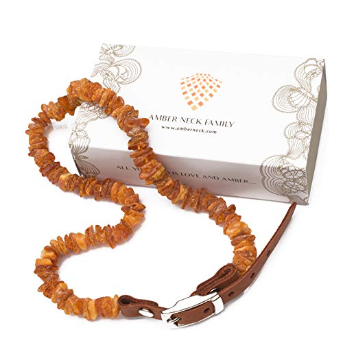Amber Neck Bernstein Halsband! Handgemachtes baltisches Roh-Bernstein Floh-und Zeckenhalsband mit anpassbarer hell brauner Lederschließer für Hunde und Katzen Amber Neck Bernstein Halsband! Handgemachtes baltisches Roh-Bernstein Floh-und Zeckenhalsband mit anpassbarer hell brauner Lederschließer für Hunde und Katzen von Amber Neck