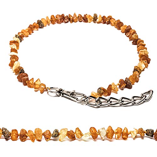 Bernstein Halsband 50-55 cm – Mit Metallkette & Karabiner – Für Hunde & andere Haustiere – Handgemacht – Verstellbar. Bernsteinkette Amber Neck Luxus (50-55 cm) von Amber Neck