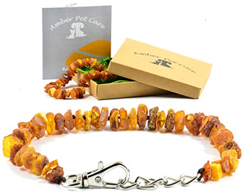 AmberPetCare Bernsteinkette für Hunde und Katzen/Bernsteinhalsband für Hund und Katze/Bernstein Gegen Zecken (35-40) von AmberPetCare