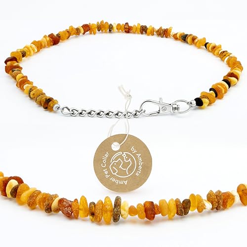 Amberta Bernstein Halsband für Hunde und Katzen | Bernsteinkette für Hunde | Halsband Hund: 20-25 cm Amberta Bernstein Halsband für Hunde und Katzen | Bernsteinkette für Hunde | Halsband Hund: 20-25 cm von Amberta