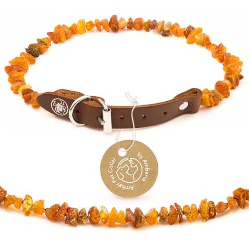 Amberta Bernstein Halsband für Hunde und Katzen | Bernsteinkette für Hunde | 65-70 cm Amberta Bernstein Halsband für Hunde und Katzen | Bernsteinkette für Hunde | 65-70 cm von Amberta
