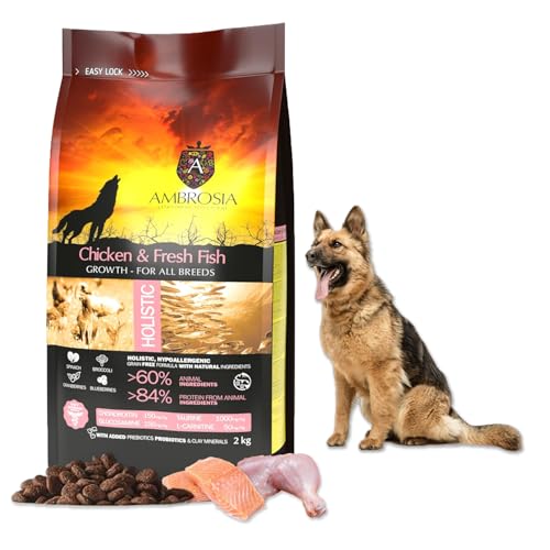 Ambrosia Ultra Premium Pet Food - Hähnchen & frischer Fisch 2 Kg - Hollistic Hypoallergenic Grain Free - Puppy Food von Ambrosia Ultra Premium Pet Food