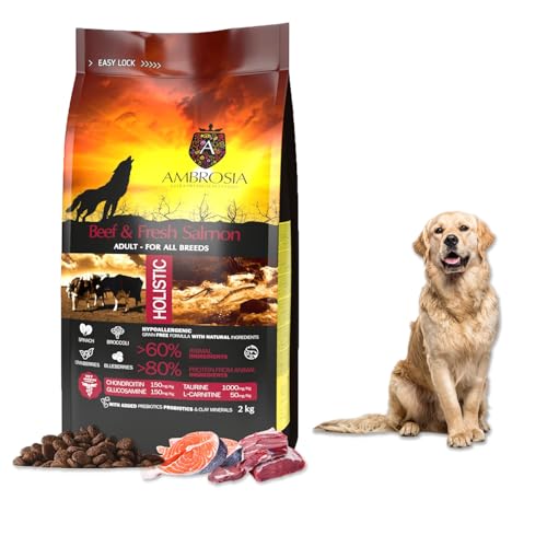 Ambrosia Rindfleisch & frischer Lachs hundefutter trocken für Mini-Rassen | Getreidefrei & Hypoallergen | Proteinreiches trockenfutter für Hunde (2 kg Packung) von AMBROSIA PET FOOD