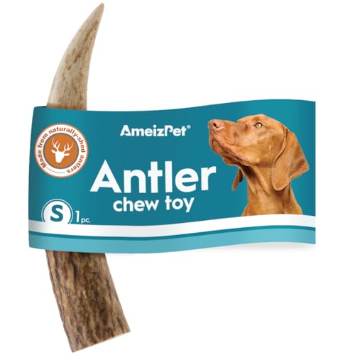 AmeizPet Geweih Für Hunde Natürlich, Dauerhaft Hunde Kauknochen, REH Kauknochen Für Den Hund Hirschgeweih Lang Anhaltende - 1 Stück S Größe AmeizPet Geweih Für Hunde Natürlich, Dauerhaft Hunde Kauknochen, REH Kauknochen Für Den Hund Hirschgeweih Lang Anhaltende - 1 Stück S Größe von AmeizPet