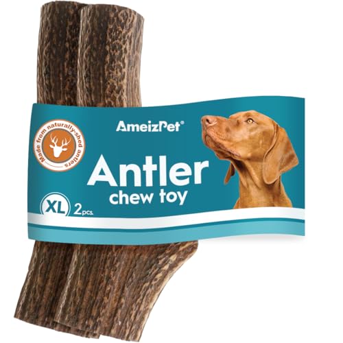 AmeizPet Geweih Für Hunde Natürlich, Dauerhaft Hunde Kauknochen, REH Kauknochen Für Den Hund Hirschgeweih Lang Anhaltende - 2 Stücke XL Größe AmeizPet Geweih Für Hunde Natürlich, Dauerhaft Hunde Kauknochen, REH Kauknochen Für Den Hund Hirschgeweih Lang Anhaltende - 2 Stücke XL Größe von AmeizPet