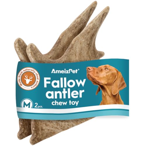 AmeizPet Geweih Für Hunde Natürlich, Dauerhaft Hunde Kauknochen, REH Kauknochen Für Den Hund Hirschgeweih Lang Anhaltende Damgeweih- 2 Stücke M Größe AmeizPet Geweih Für Hunde Natürlich, Dauerhaft Hunde Kauknochen, REH Kauknochen Für Den Hund Hirschgeweih Lang Anhaltende Damgeweih- 2 Stücke M Größe von AmeizPet