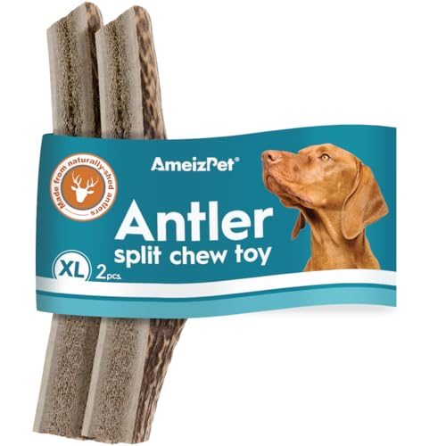 AmeizPet Geweih Für Hunde Natürlich, Dauerhaft Hunde Kauknochen, REH Kauknochen Für Den Hund Hirschgeweih Lang Anhaltende Teilt - 2 Stücke XL Größe AmeizPet Geweih Für Hunde Natürlich, Dauerhaft Hunde Kauknochen, REH Kauknochen Für Den Hund Hirschgeweih Lang Anhaltende Teilt - 2 Stücke XL Größe von AmeizPet