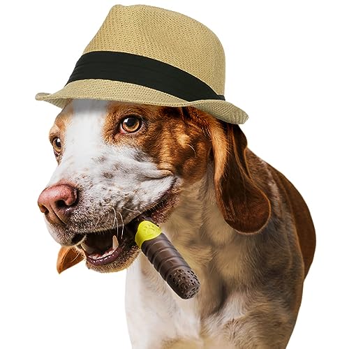 AmeizPet Hundespielzeug Unzerstörbar, Dauerhaft Kauknochen Hund 100% Nylon, Spielzeug Kauartikel Hund Groß, Mittel, Kauspielzeug Aggressiver Für Hund, Welpen AmeizPet Hundespielzeug Unzerstörbar, Dauerhaft Kauknochen Hund 100% Nylon, Spielzeug Kauartikel Hund Groß, Mittel, Kauspielzeug Aggressiver Für Hund, Welpen von AmeizPet