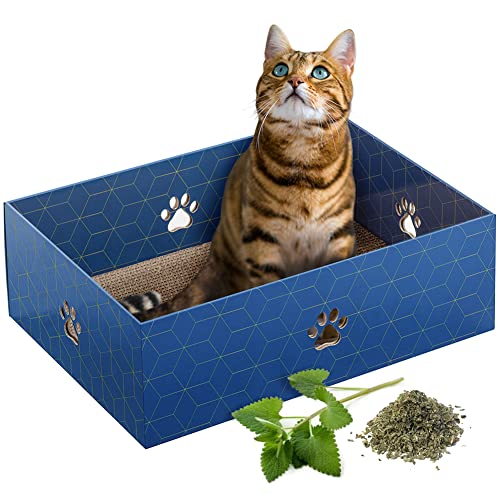 AmeizPet Katzen Kratzkiste, Langlebige Kratzpappe Für Katzen & Kätzchen - Katzenbett Kratzmatte Doppelseitig Karton Kratzbaum Katze Mit Kratztextur AmeizPet Katzen Kratzkiste, Langlebige Kratzpappe Für Katzen & Kätzchen - Katzenbett Kratzmatte Doppelseitig Karton Kratzbaum Katze Mit Kratztextur von AmeizPet