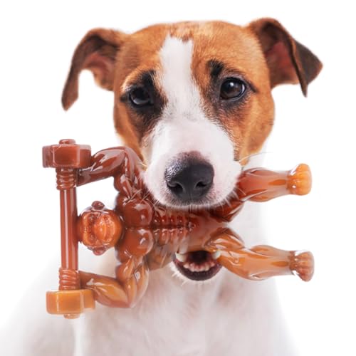 AmeizPet Speckgeschmack Hundespielzeug Unzerstörbar Gorilla, Dauerhaft Kauknochen Hund 100% Nylon, Spielzeug Kauartikel Hund Groß, Mittel, Kauspielzeug Aggressiver Für Hund, Welpen AmeizPet Speckgeschmack Hundespielzeug Unzerstörbar Gorilla, Dauerhaft Kauknochen Hund 100% Nylon, Spielzeug Kauartikel Hund Groß, Mittel, Kauspielzeug Aggressiver Für Hund, Welpen von AmeizPet