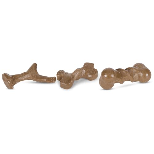 AMERICAN KENNEL CLUB AKC Training Holz Infused Dog Chew Toy - Moderate Kauer, Langlebig & Langlebig, Huhn Duft, Unterstützt Zahngesundheit - Mehrere Formen von American Kennel Club
