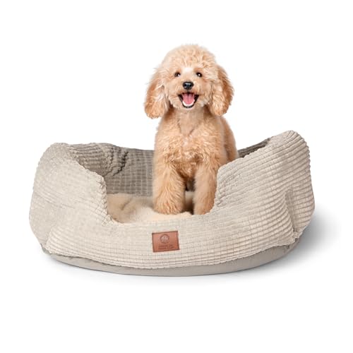 AMERICAN KENNEL CLUB Clamshell Cuddler Hundebett – Plüsch-Popcorn-Textur, waschbar, rutschfest, für mittelgroße und große Hunde, 66 cm von American Kennel Club