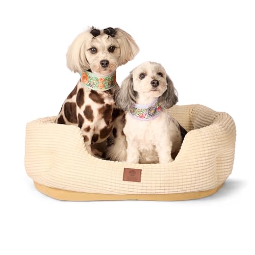 AMERICAN KENNEL CLUB Clamshell Cuddler Hundebett – Plüsch-Popcorn-Textur, waschbar, rutschfest, für mittelgroße und große Hunde, 66 cm AMERICAN KENNEL CLUB Clamshell Cuddler Hundebett – Plüsch-Popcorn-Textur, waschbar, rutschfest, für mittelgroße und große Hunde, 66 cm von American Kennel Club