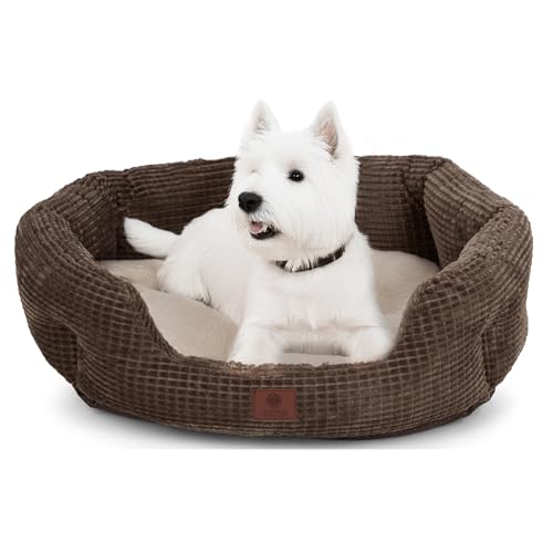 AMERICAN KENNEL CLUB Clamshell Cuddler Hundebett – Plüsch-Popcorn-Textur, waschbar, rutschfest, für mittelgroße und große Hunde, 66 cm AMERICAN KENNEL CLUB Clamshell Cuddler Hundebett – Plüsch-Popcorn-Textur, waschbar, rutschfest, für mittelgroße und große Hunde, 66 cm von American Kennel Club