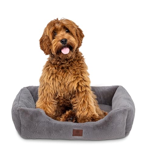 AMERICAN KENNEL CLUB Cuddler Haustierbett mit flachem Eingang, 76,2 cm, Plüsch-Design für mittelgroße und große Hunde, ultraweiches, waschbares Hundebett mit Rutschfester Unterseite, strapazierfähige AMERICAN KENNEL CLUB Cuddler Haustierbett mit flachem Eingang, 76,2 cm, Plüsch-Design für mittelgroße und große Hunde, ultraweiches, waschbares Hundebett mit Rutschfester Unterseite, strapazierfähige von American Kennel Club