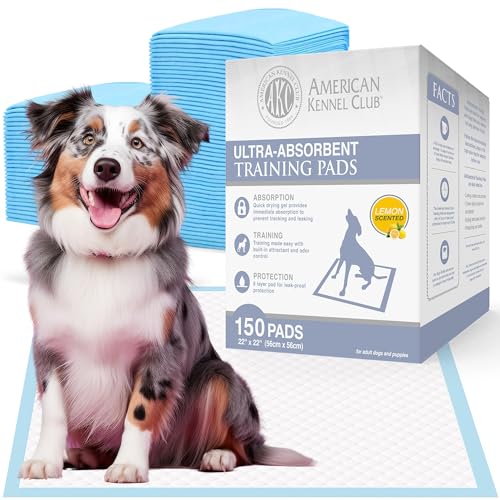 AMERICAN KENNEL CLUB AKC 63865 22 x 22 gelbe Einweg-Hundetrainingspads – Zitronenduft – 150 Stück AMERICAN KENNEL CLUB AKC 63865 22 x 22 gelbe Einweg-Hundetrainingspads – Zitronenduft – 150 Stück von American Kennel Club
