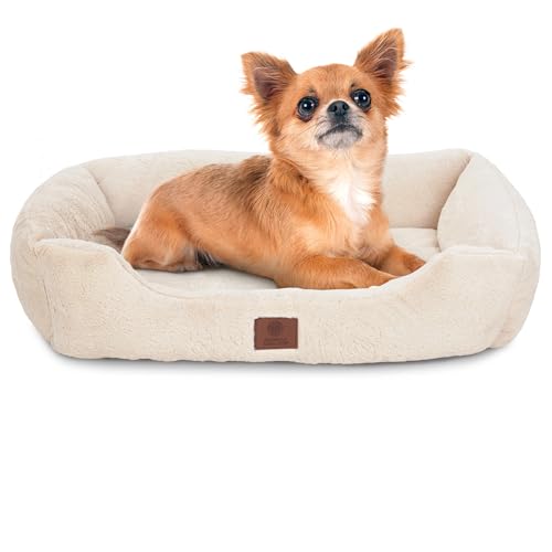 American Kennel Club Cuddler Haustierbett mit niedrigem Profil-Eingang, 63,5 cm Plüsch-Design für mittelgroße und große Hunde, ultraweiches, waschbares Hundebett mit Rutschfester Unterseite, American Kennel Club Cuddler Haustierbett mit niedrigem Profil-Eingang, 63,5 cm Plüsch-Design für mittelgroße und große Hunde, ultraweiches, waschbares Hundebett mit Rutschfester Unterseite, von American Kennel Club