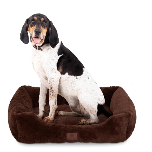 American Kennel Club Cuddler Haustierbett mit niedrigem Profil-Eingang, 76,2 cm, Plüsch-Design für mittelgroße und große Hunde, ultraweiches, waschbares Hundebett mit Rutschfester Unterseite, American Kennel Club Cuddler Haustierbett mit niedrigem Profil-Eingang, 76,2 cm, Plüsch-Design für mittelgroße und große Hunde, ultraweiches, waschbares Hundebett mit Rutschfester Unterseite, von American Kennel Club