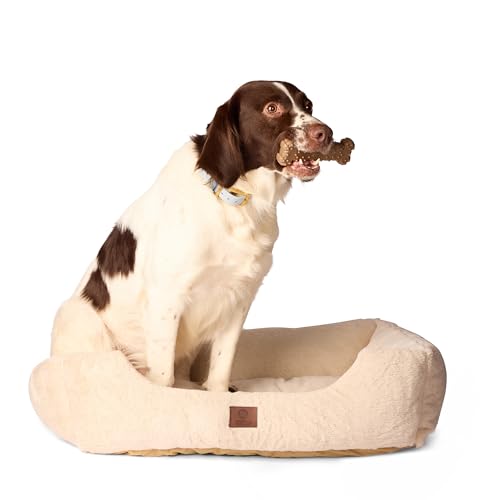 American Kennel Club Cuddler Haustierbett mit niedrigem Profil-Eingang, 76,2 cm, Plüsch-Design für mittelgroße und große Hunde, ultraweiches, waschbares Hundebett mit Rutschfester Unterseite, American Kennel Club Cuddler Haustierbett mit niedrigem Profil-Eingang, 76,2 cm, Plüsch-Design für mittelgroße und große Hunde, ultraweiches, waschbares Hundebett mit Rutschfester Unterseite, von American Kennel Club