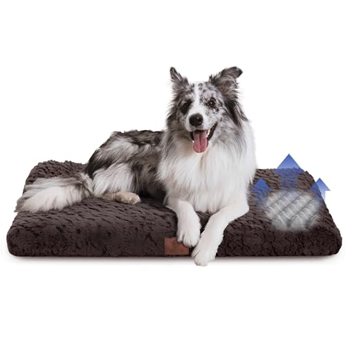 American Kennel Club Orthopädische Hundebox-Matte aus Memory-Schaum, Eierkisten-Schaumstoffkissen, waschbarer Bezug, rutschfeste Unterseite, lindert Gelenkschmerzen, atmungsaktiv, langlebig, 36 x 23 American Kennel Club Orthopädische Hundebox-Matte aus Memory-Schaum, Eierkisten-Schaumstoffkissen, waschbarer Bezug, rutschfeste Unterseite, lindert Gelenkschmerzen, atmungsaktiv, langlebig, 36 x 23 von American Kennel Club