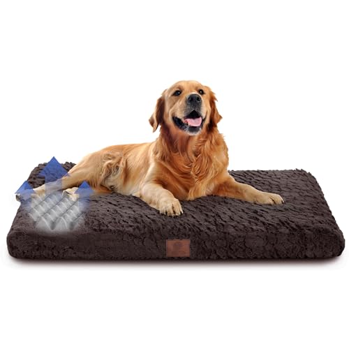 American Kennel Club Orthopädische Hundebox-Matte aus Memory-Schaum, Eierkisten-Schaumstoffkissen, waschbarer Bezug, rutschfeste Unterseite, lindert Gelenkschmerzen, atmungsaktiv, langlebig, 42 x 27, American Kennel Club Orthopädische Hundebox-Matte aus Memory-Schaum, Eierkisten-Schaumstoffkissen, waschbarer Bezug, rutschfeste Unterseite, lindert Gelenkschmerzen, atmungsaktiv, langlebig, 42 x 27, von American Kennel Club