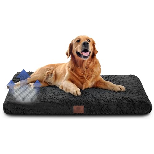 American Kennel Club Orthopädische Hundebox-Matte aus Memory-Schaum, Eierkisten-Schaumstoffkissen, waschbarer Bezug, rutschfeste Unterseite, lindert Gelenkschmerzen, atmungsaktiv, langlebig, 42 x 27 American Kennel Club Orthopädische Hundebox-Matte aus Memory-Schaum, Eierkisten-Schaumstoffkissen, waschbarer Bezug, rutschfeste Unterseite, lindert Gelenkschmerzen, atmungsaktiv, langlebig, 42 x 27 von American Kennel Club