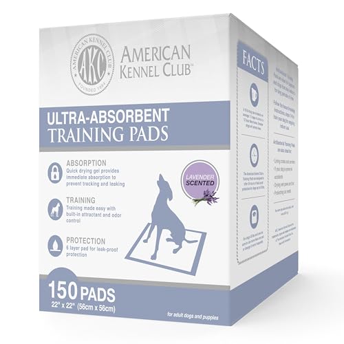 American Kennel Club Trainingsunterlagen mit Lavendelduft, in Box, 55,9 x 55,9 cm, Weiß/Hellblau, 150 Stück von American Kennel Club