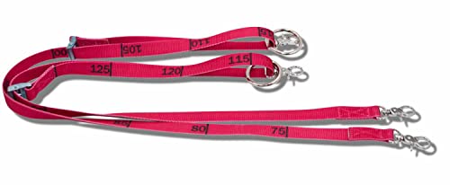 Amesbichler Reitsport Alexanderhof Longierband - super leicht, einfach zu verstellen Amesbichler Reitsport Alexanderhof Longierband - super leicht, einfach zu verstellen von Amesbichler Reitsport