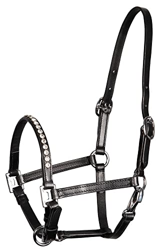 Amesbichler Reitsport Fohlenhalfter Ponyhalfter Showhalfter aus Leder mit Strass mehrfach verstellbar Amesbichler Reitsport Fohlenhalfter Ponyhalfter Showhalfter aus Leder mit Strass mehrfach verstellbar von Amesbichler Reitsport