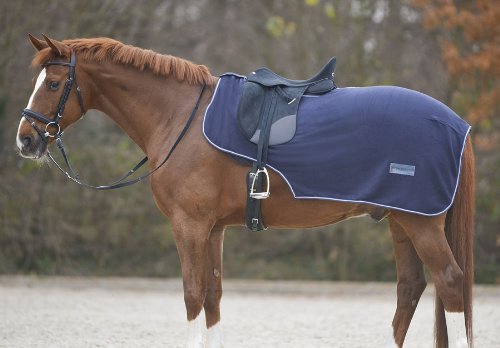 Amesbichler Reitsport Waldhausen Ausreitdecke Fleece Economic dunkelblau Pferdedecke Nierendecke von Amesbichler Reitsport