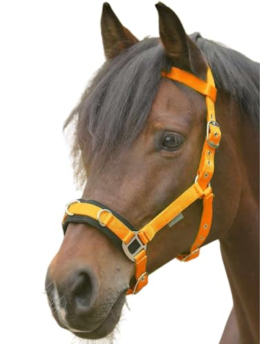 Amesbichler Reitsport Waldhausen Eco Kappzaum aus Nylon färbig gepolsteter Nasenrücken von Amesbichler Reitsport