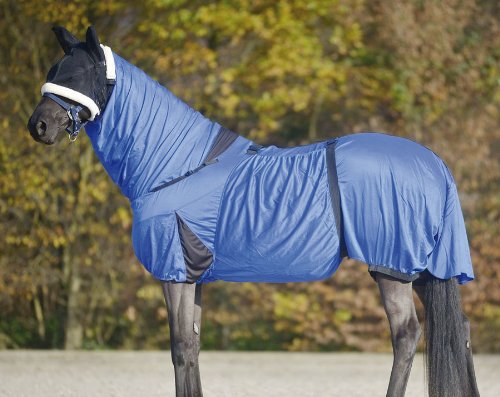Amesbichler Reitsport Waldhausen Ekzemerdecke Silbergrau von Amesbichler Reitsport