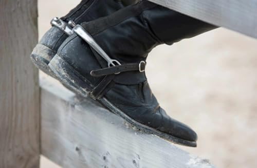 Sporenriemen Soft aus weichem Leder schwarz Ledersporenriemen ca. 10 mm breit 46 cm lang Sporenriemen Soft aus weichem Leder schwarz Ledersporenriemen ca. 10 mm breit 46 cm lang von Amesbichler Reitsport