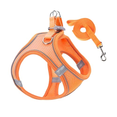 Amesor Geschirr und Leinen Set für kleine Hunde | Anti-Zug Geschirr Mit Leine | Einstellbare Weste für Welpen und Katzen bei Autoreisen Nachtsicherheit von Amesor