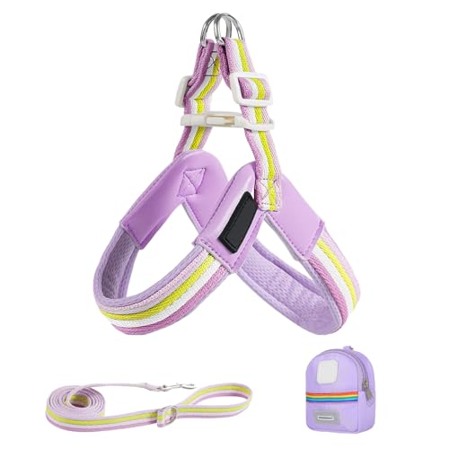 Amesor Hundegeschirr Und Gurt Set - Verstellbares Brustgeschirr für Hunde | Praktische Aufbewahrungstasche Antidreh-Ausrüstung Für Spaziergänge Wanderungen Park Camping Amesor Hundegeschirr Und Gurt Set - Verstellbares Brustgeschirr für Hunde | Praktische Aufbewahrungstasche Antidreh-Ausrüstung Für Spaziergänge Wanderungen Park Camping von Amesor